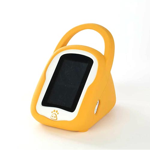 Veterinary Instruments