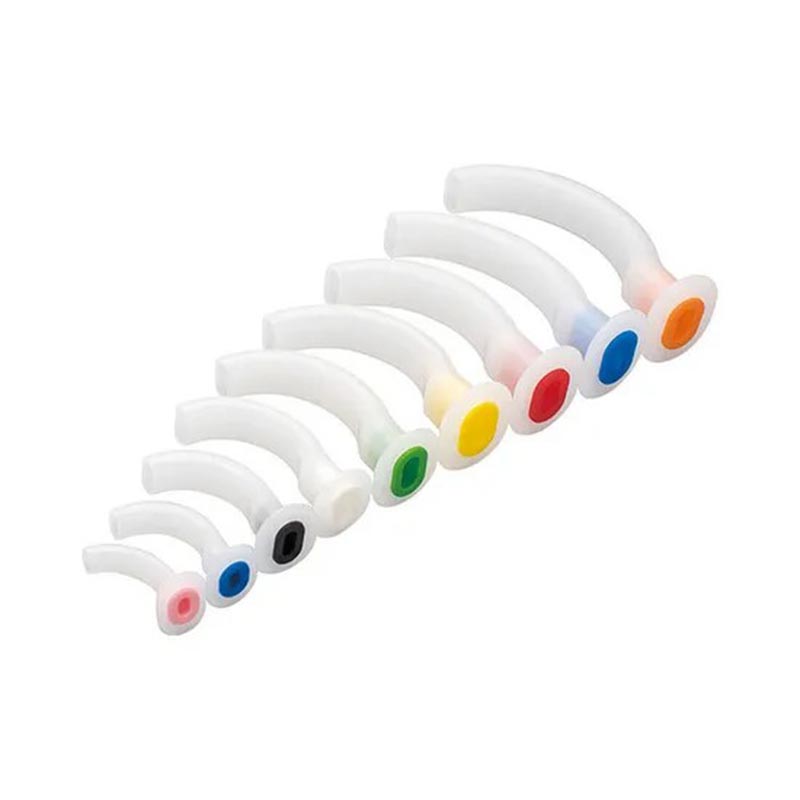 Ротоглоточные дыхательные пути